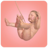 人类进化史 中文版